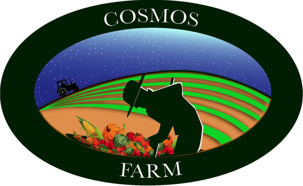 Cosmos Farm
