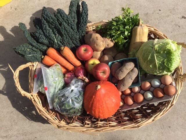 Lake Breeze Organics