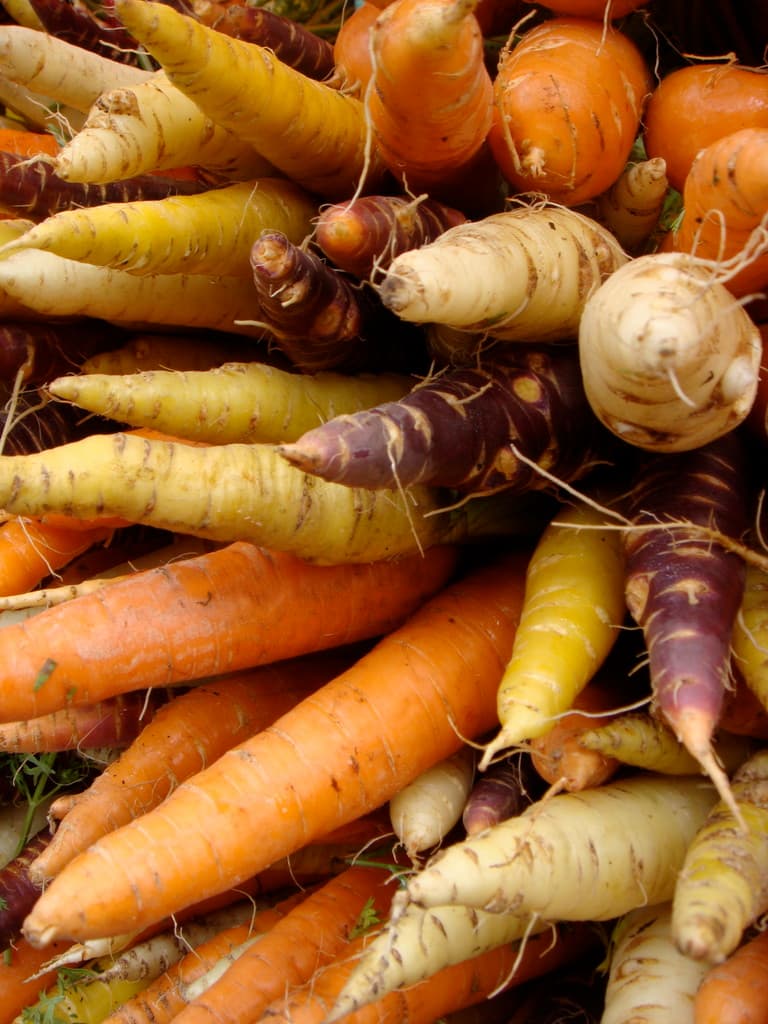 St. Stephen's Farmers' Market