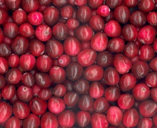 Cranberry Hill Organic Farm