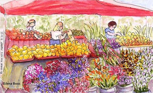 Twin Falls Farmers Market