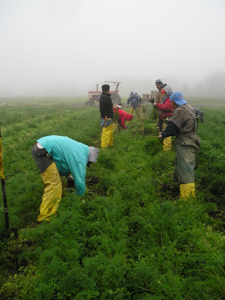 Full Circle Washington