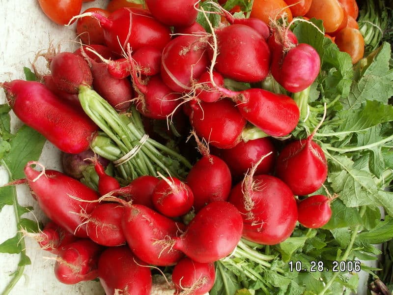 Foggy Bottom FRESHFARM Market