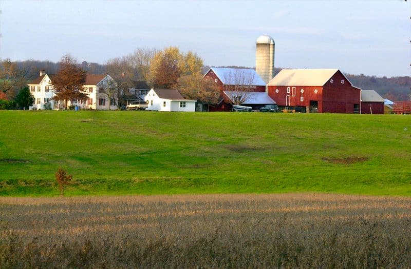Yoder's Farm Market at Cedar Ridge Farm