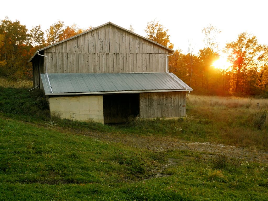 Lakeview Farm of Westfield