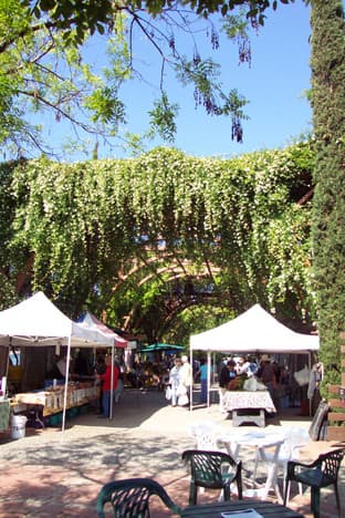 Vineyard Farmers Market