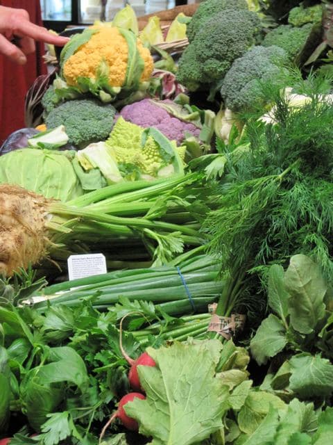 Nature's Touch Nursery & Harvest