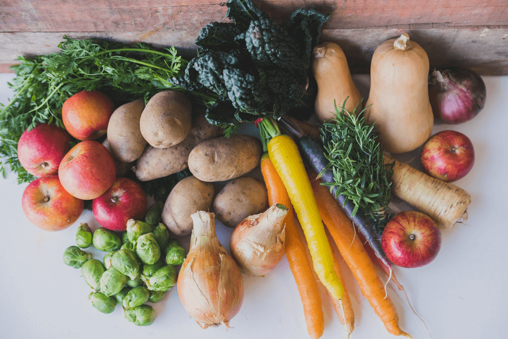 Agricultural Connections