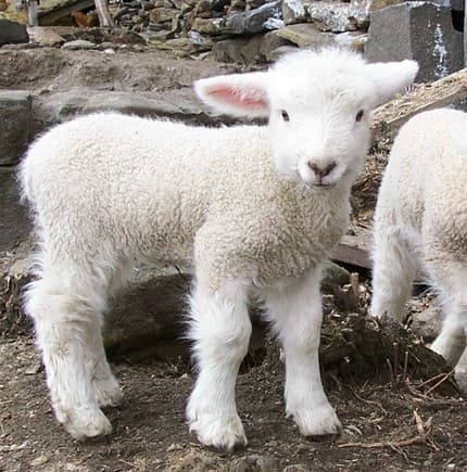 Vermont Grand View Farm