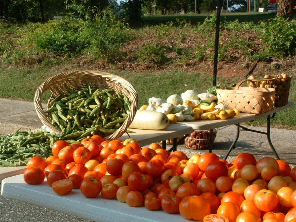 Lowell, NC Farmer's Market