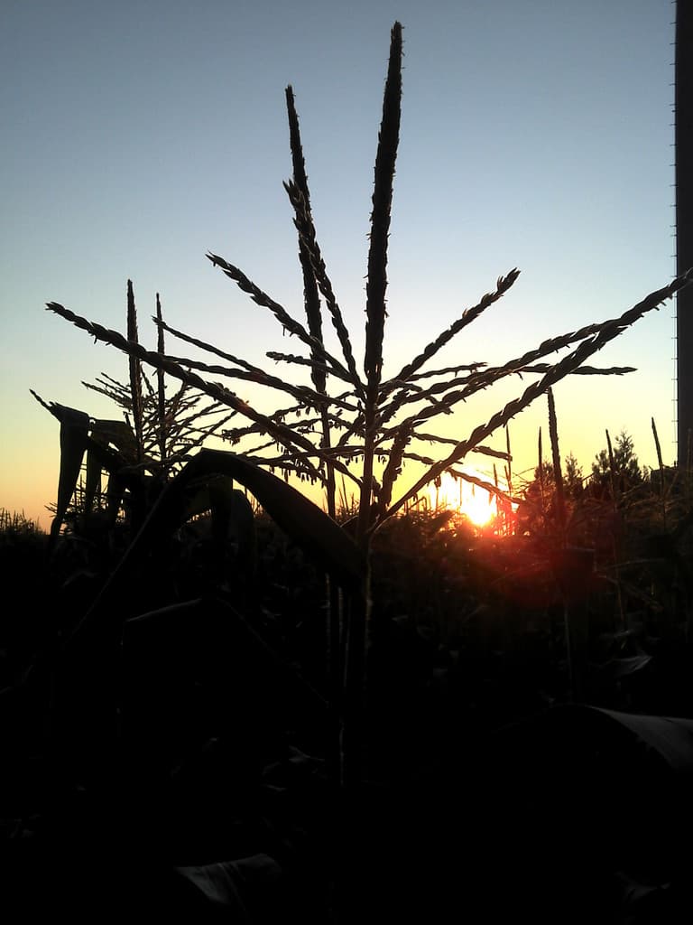 Stone Gardens Farm & Market