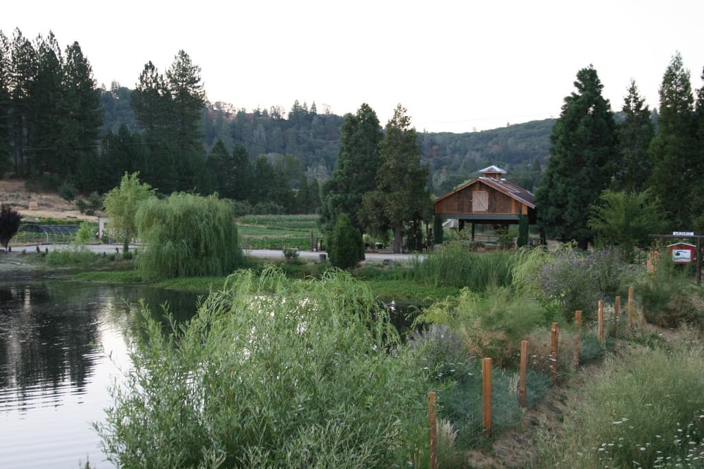 Willow Pond Organic Farm