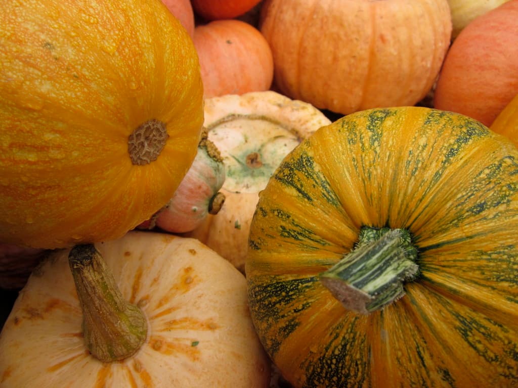 Snoqualmie Valley Farmers Cooperative