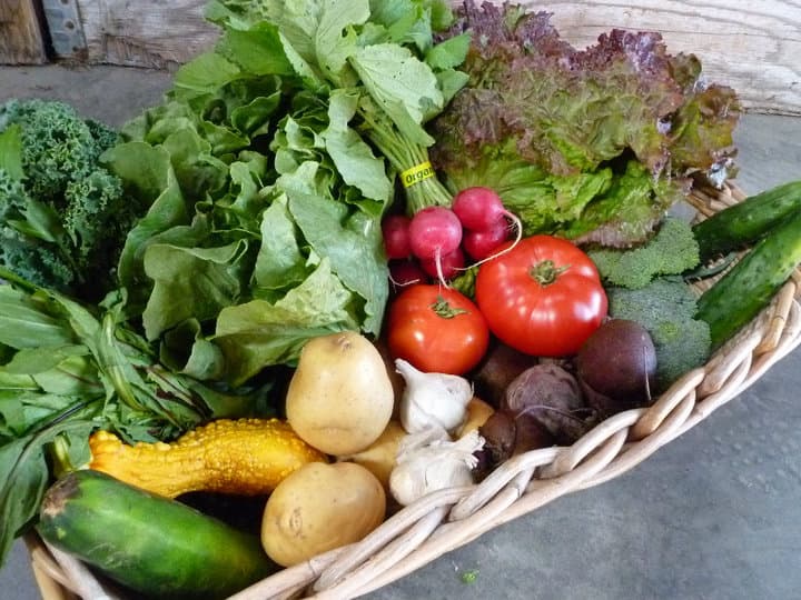 Mothership Farmers' Alliance