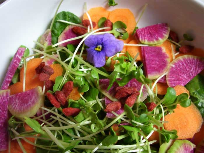 Sunseed Farm Food Co-op and CSA