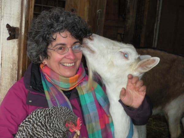 Chicago Illinois Cheese Making Classes - Cheesemaking with Merryl Winstein