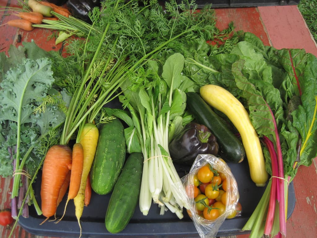 Sunbeam Farm 24/7 Farm Stand