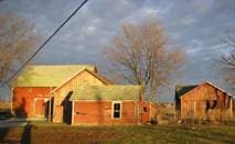 The Broken Animal Inn