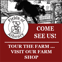 Fields of Athenry Farm