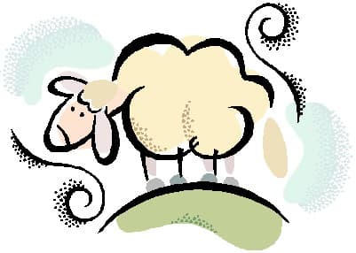 JoshEWEa's Garden, LLC