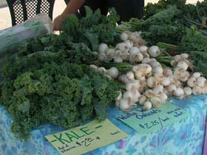 Colorado Farm+Art Market Downtown