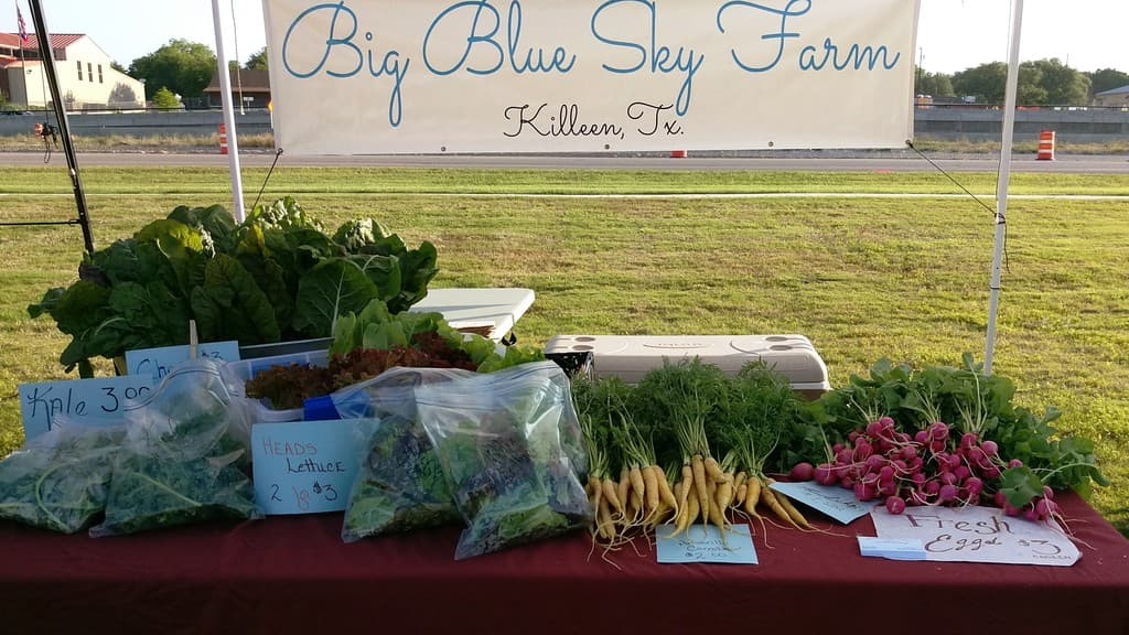 Big Blue Sky Farm