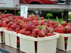 New Boston Farmers' Market, Inc.