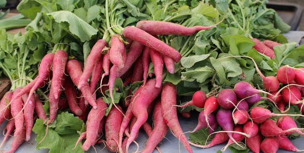 Leesburg Winter Farmers Market