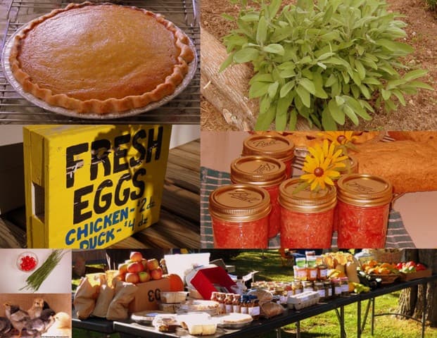 Wandering Moose Farms