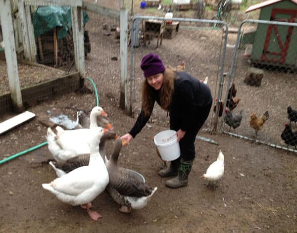 Hidden Fortress Micro Farm