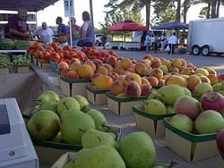 Bartlett Station Farmers Market