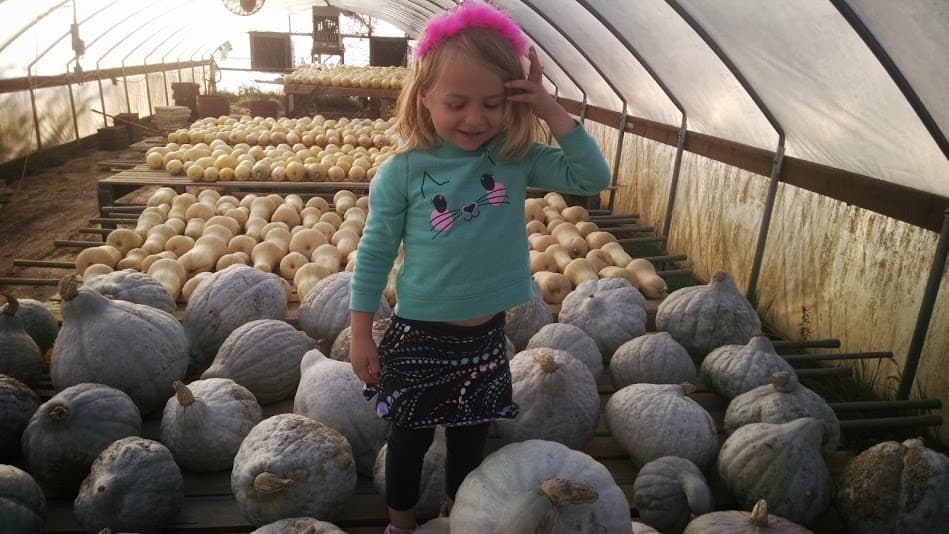 Wild Hare Organic Farm