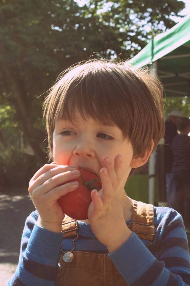 Mount Vernon Farmers Market