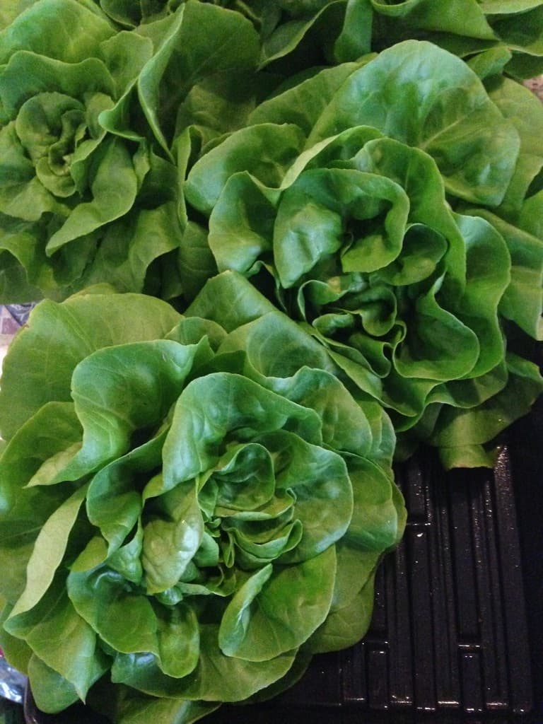 Northside Farmers Market