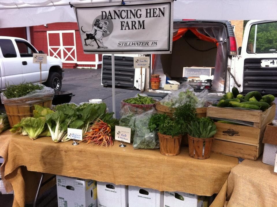 Dancing Hen Farm CSA