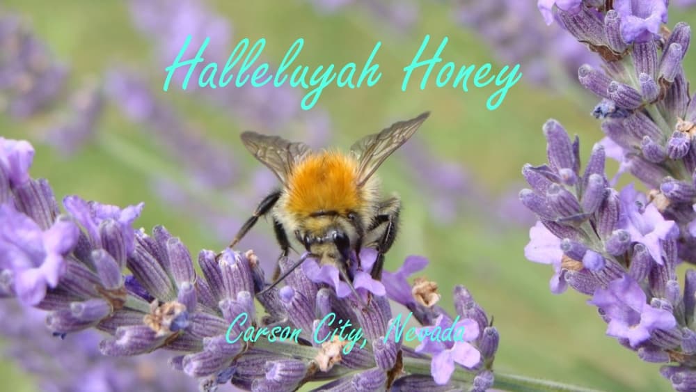 HalleluYah Honey - LSBEES