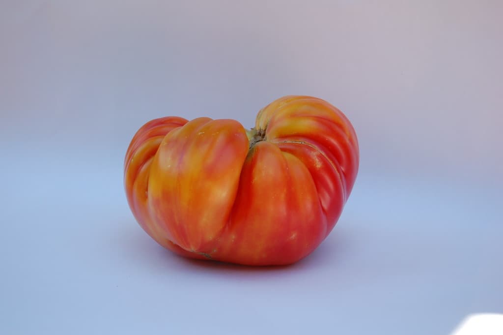 Nut Tree Certified Farmers Market