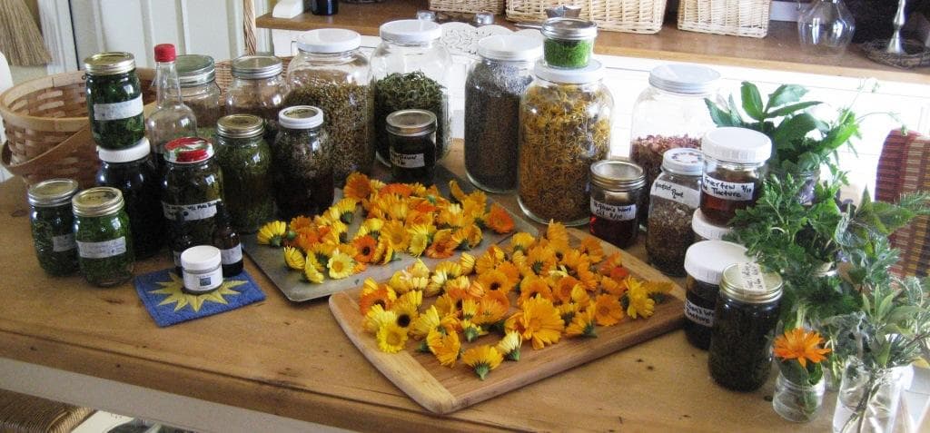 Chrysalis Woman ~ Herb Farm, Goddess Sanctuary & Center for WomanCraft