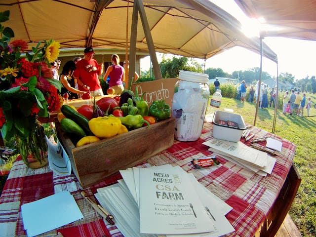 Need More Acres CSA Farm