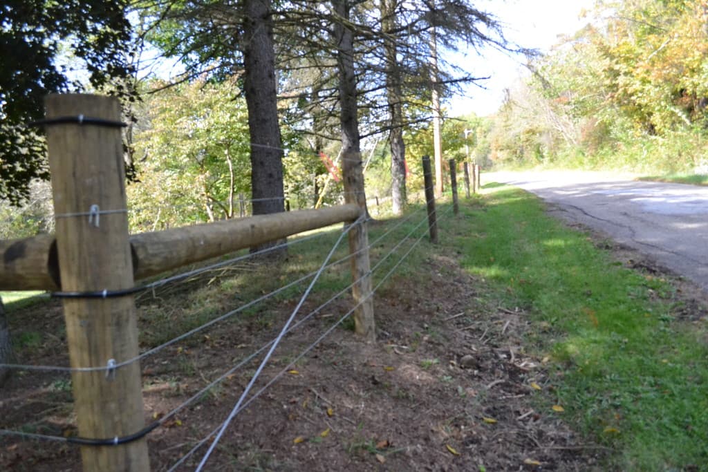 Angel Family Farms, LLC