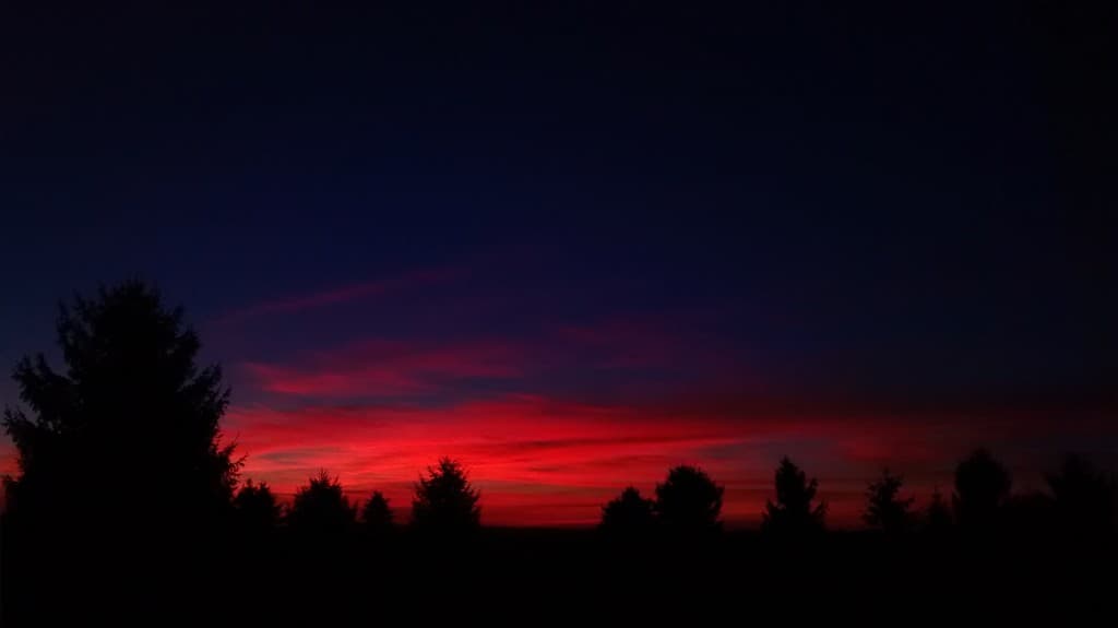 Joy of Illinois Farm