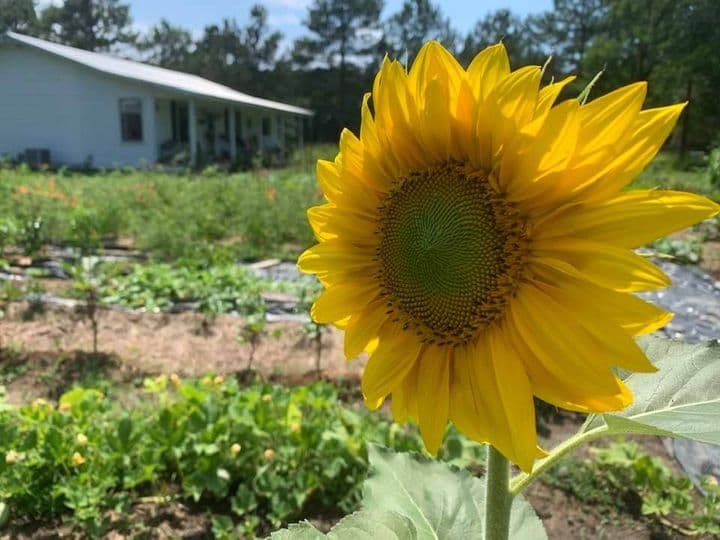 Smith's Nature Friendly Farm