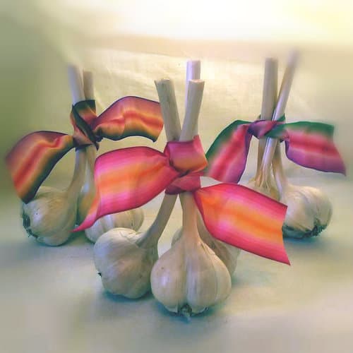 Hazzard Free Farm Grains