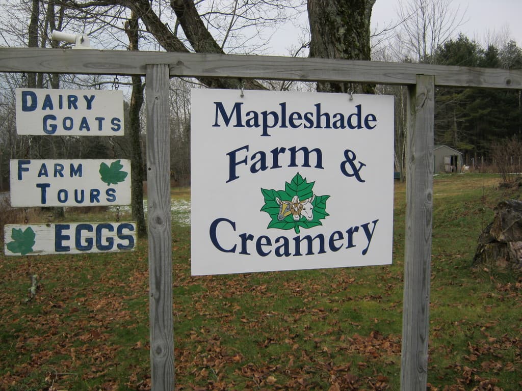 Mapleshade Farm & Creamery