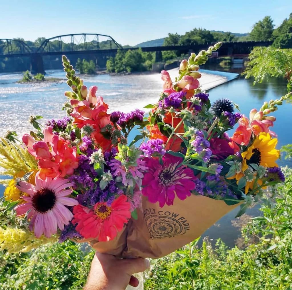 Easton Farmers' Market