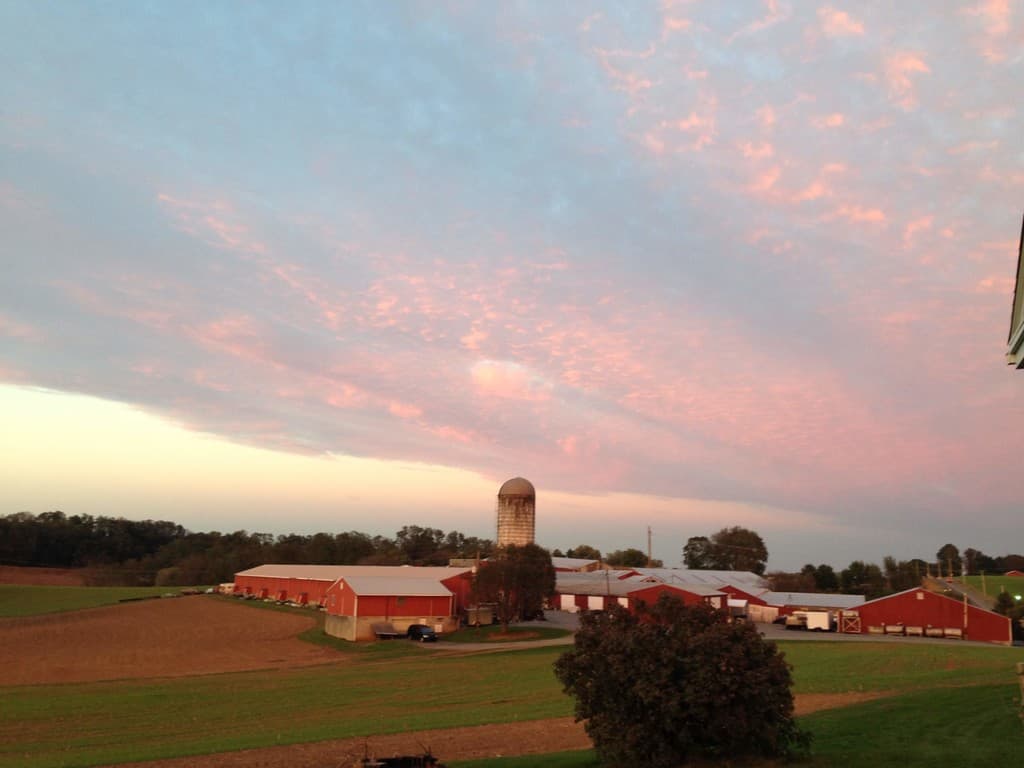 Bluerock Valley Farm