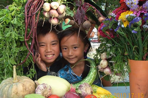 Chapman Food & Fitness Festival