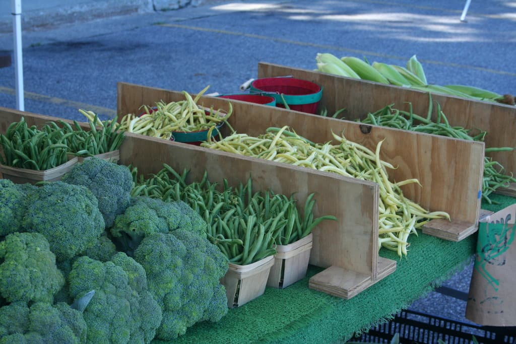 Grand Valley State University