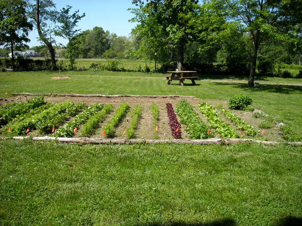 Saint Martin Organics