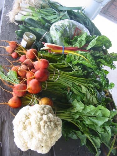 Good Earth Food Alliance